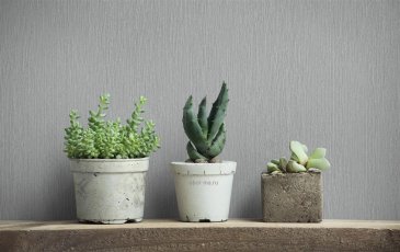 Обои Marburg Timber 35303 изображение 8