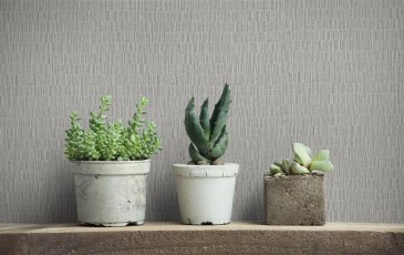 Обои Marburg Timber 35313 изображение 2