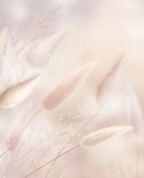 Фрески Ortograf Венто 35921 изображение 0