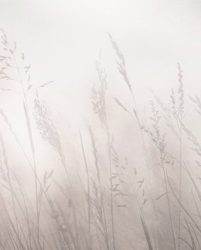 Фрески Ortograf Венто 35925 изображение 0