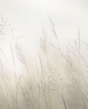 Фрески Ortograf Венто 35926 изображение 0