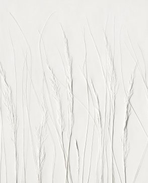 Фрески Ortograf Рельеф 36049 изображение 0