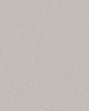 Обои под штукатурку Whisper 36305 изображение 0