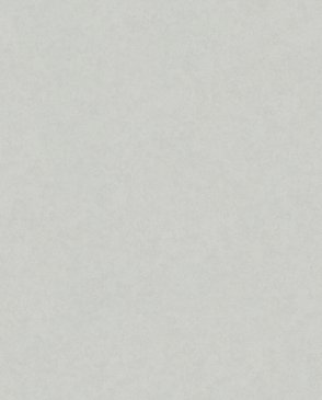 Обои под штукатурку Whisper 36307 изображение 0