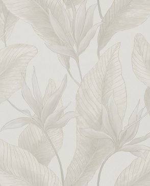 Обои Bloom 36362 изображение 0