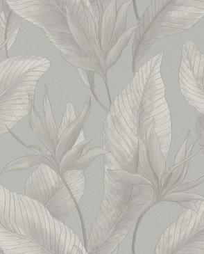 Обои Bloom 36364 изображение 0