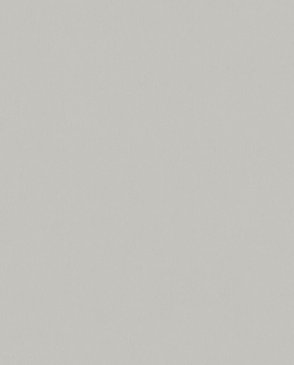 Обои Bloom 36368 изображение 0