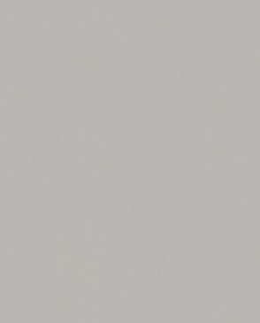 Обои Marburg Bloom 36369