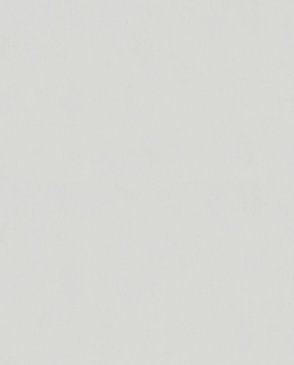 Обои Bloom 36373 изображение 0