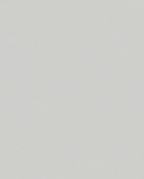 Обои Bloom 36374 изображение 0