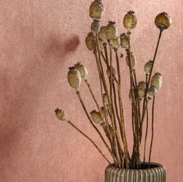 Обои Caselio Ceramique 105243030 изображение 4