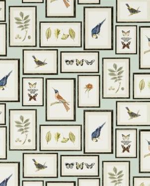 Обои Sanderson Voyage of Discovery Wallpapers Voyage of Discovery Wallpapers DVOY213400 изображение 0