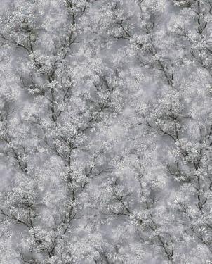 Обои A.S. Creation Ampir 37542-1