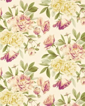 Обои Zoffany Woodville Woodville ZWOO321437 изображение 0