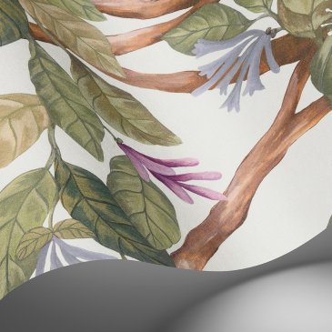 Обои Cole & Son Hummingbirds Cream 124-2013 изображение 5