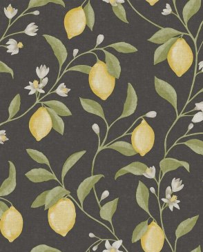 Обои Ich Goya Goya 3854-5 изображение 0