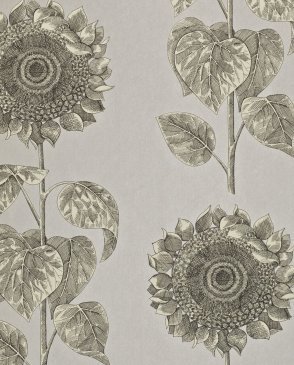 Обои Sanderson Vintage Vintage DVIWPA106 изображение 0