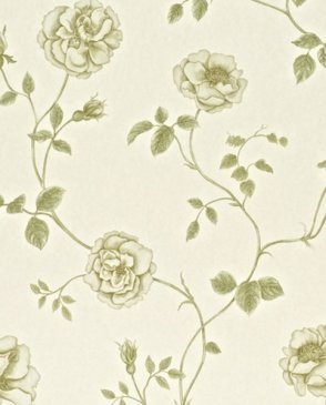 Обои Sanderson Painter's Garden Painter's Garden DAPGRO101 изображение 0
