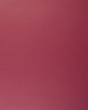 Обои Clarke & Clarke Showstoppers W0006-24