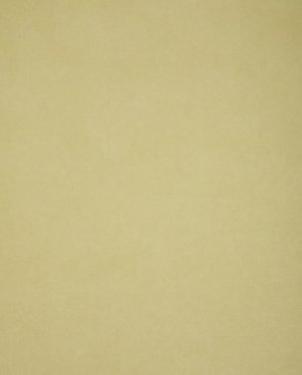 Обои Sanderson Parchment Flowers Parchment Flowers DPFWPP103 изображение 0