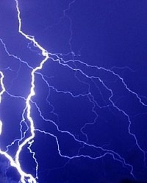 Обои Atlas Wallcoverings Raphael 4 1135