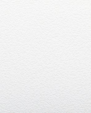 Обои под покраску Antivandal 4010-14 изображение 0