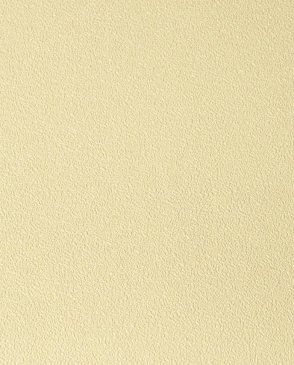 Обои NC Color 4060-090 изображение 0