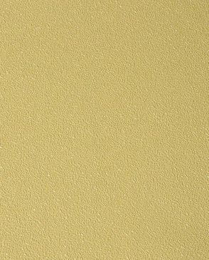 Обои NC Color 4060-100 изображение 0