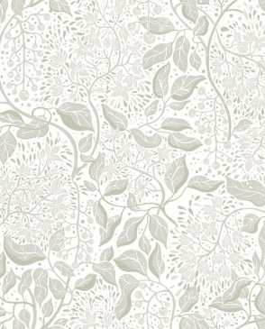 Обои A Street Prints Botanica 4143-22020 изображение 0