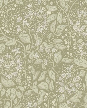Обои A Street Prints Botanica 4143-22024 изображение 0