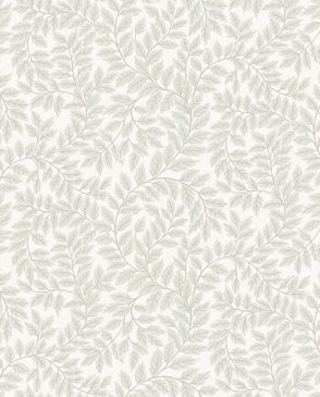 Обои A Street Prints Botanica 4143-34017 изображение 0