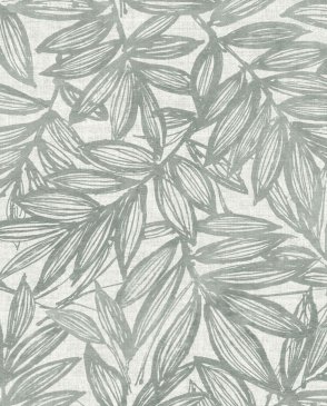 Обои A Street Prints Harmony 4146-27234 изображение 0