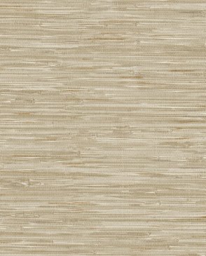 Обои A Street Prints Harmony 4146-27259 изображение 0