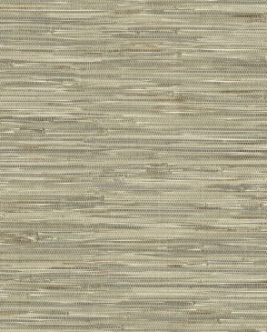 Обои A Street Prints Harmony 4146-27262 изображение 0