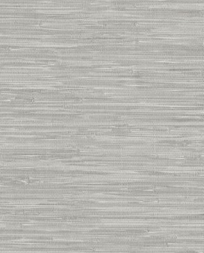 Обои A Street Prints Harmony 4146-27263 изображение 0