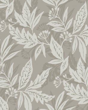 Обои A Street Prints Drew & Jonathan Home IV Drew & Jonathan Home IV 4155-27327 изображение 0