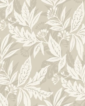 Обои A Street Prints Drew & Jonathan Home IV Drew & Jonathan Home IV 4155-27328 изображение 0