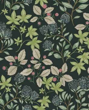 Обои A Street Prints Drew & Jonathan Home IV Drew & Jonathan Home IV 4155-72813 изображение 0