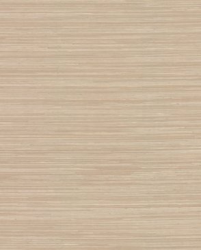 Обои A Street Prints Drew & Jonathan Home IV Drew & Jonathan Home IV 4155-72823 изображение 0