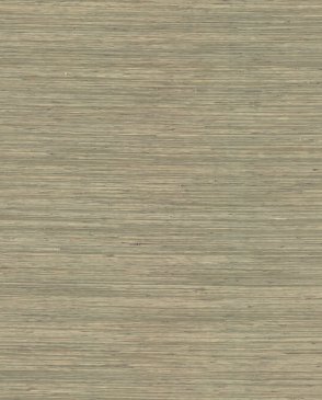 Обои A Street Prints Drew & Jonathan Home IV Drew & Jonathan Home IV 4155-72826 изображение 0