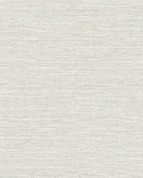 Обои A Street Prints Sea Salt 4172-27528 изображение 0