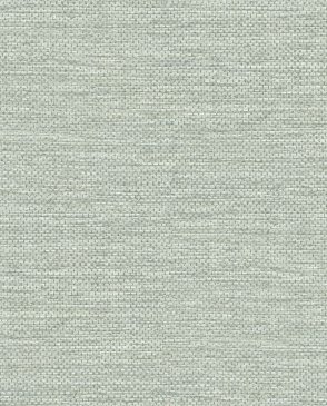 Обои A Street Prints Sea Salt 4172-27530 изображение 0