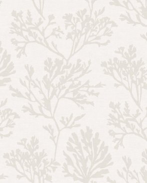 Обои A Street Prints Sea Salt 4172-82001 изображение 0