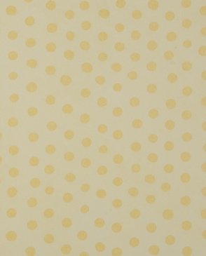 Обои Harlequin Get Groovy 70609