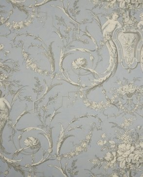 Обои Sanderson Toile Collection Toile Collection DEGTСH102 изображение 0