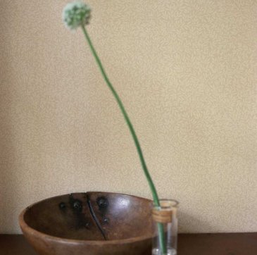 Обои Morris&Co Compendium 2 210466 изображение 2