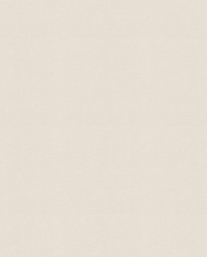 Обои Beltesto 448504 изображение 0