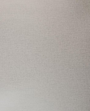 Обои Clarke & Clarke Showstoppers W0006-28