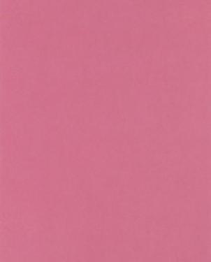 Обои Designers Guild Tsuga p502-41