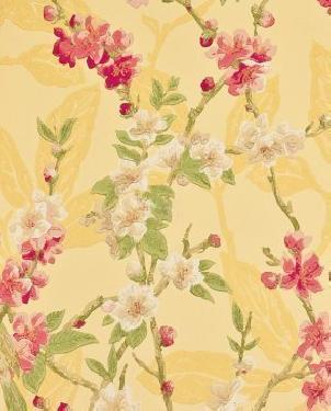 Обои Sanderson Classic Collection 2 Classic Collection 2 DCLABS-103 изображение 0